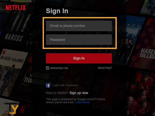 Enter your Email Address or Phone Number and your Netflix account Password