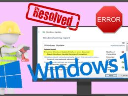 Resolve Windows Update Database Error