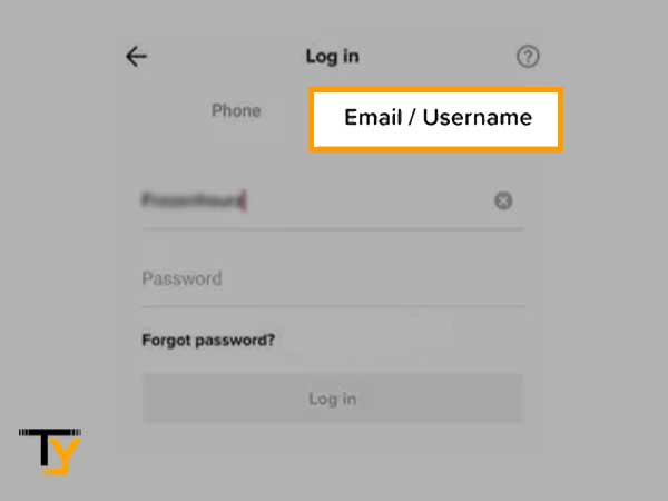 Switch to the Email/ Username tab