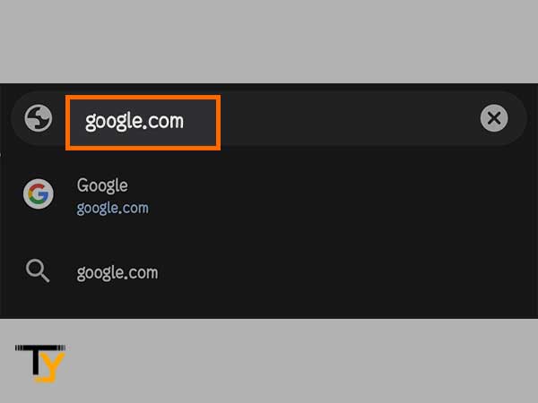 Search google.com in the search bar of Chrome