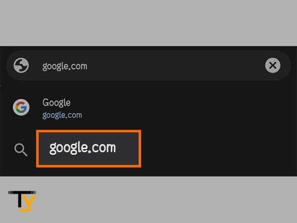 Search google.com in the search bar of Chrome.