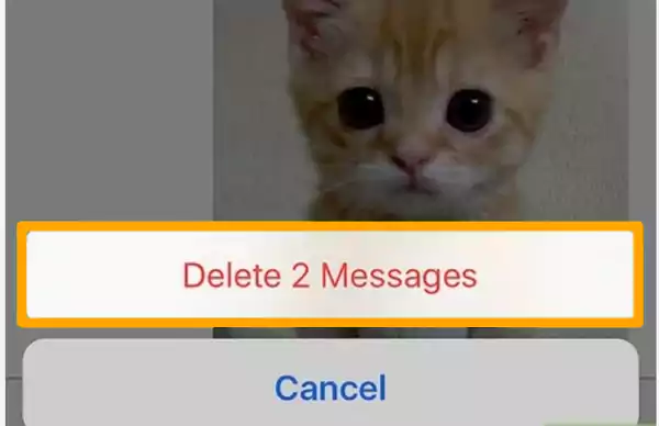 Select the Delete Messages option