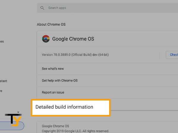 Click Detailed build information under Google Chrome OS