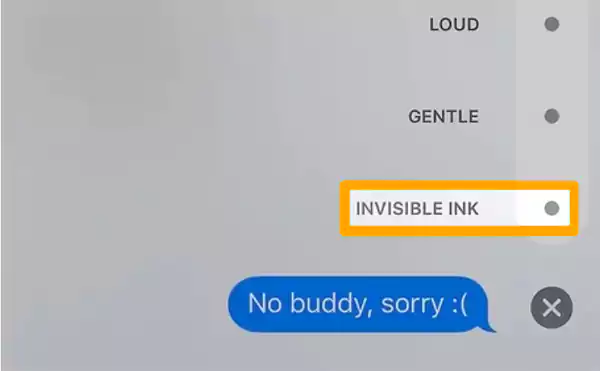Select the Invisible Ink option
