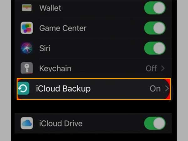 Select the iCloud Backup option.