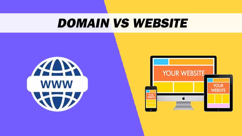 Domain vs Website