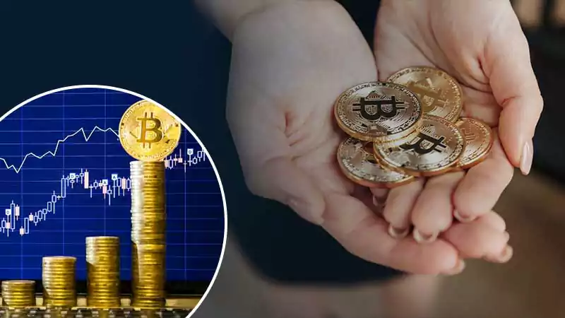 Bitcoins Have the Highest Flexibility