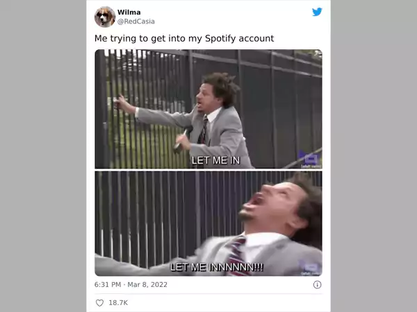 Viral Spotify Meme