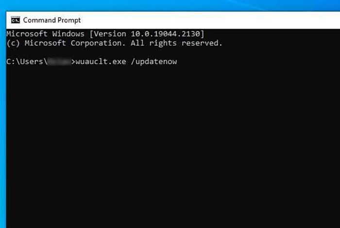command-prompt-for-execution