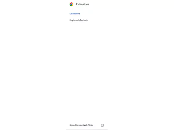 Open the chrome web store to download any extension