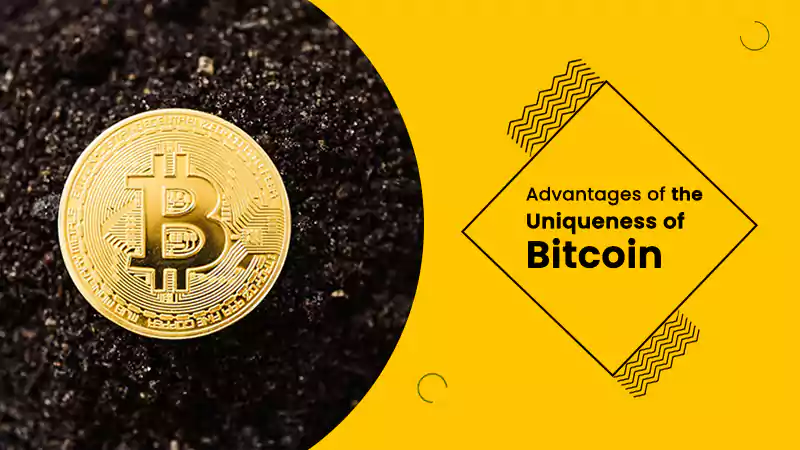 Advantages of the Uniqueness of Bitcoin