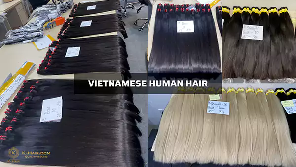 Vietnamese human hair