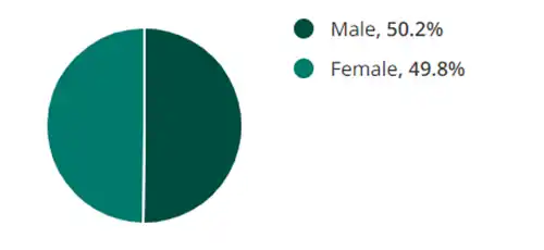 gender statistics
