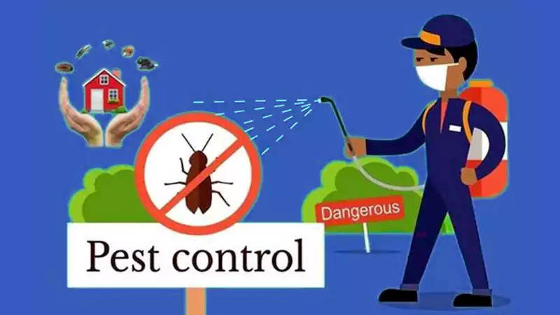 Ever Pest Control Prices
