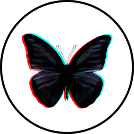 Black Butterflies Lens