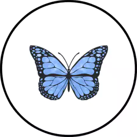 Blue Butterfly Lens