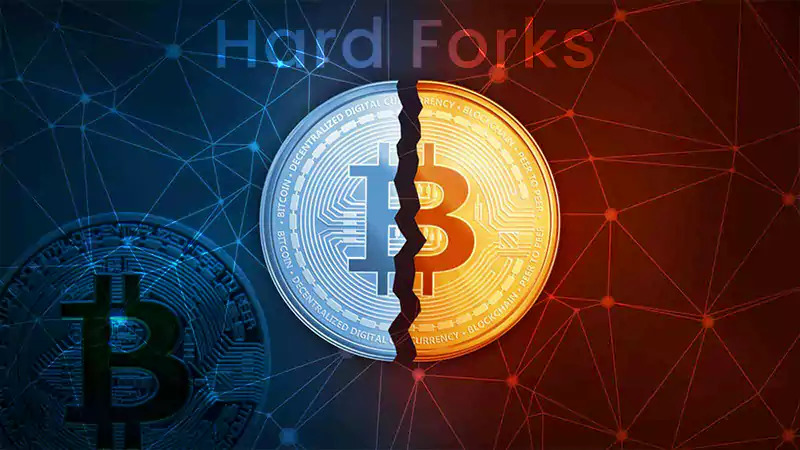 What are the Differences Between Cryptocurrency Hard Forks and Airdrops?
