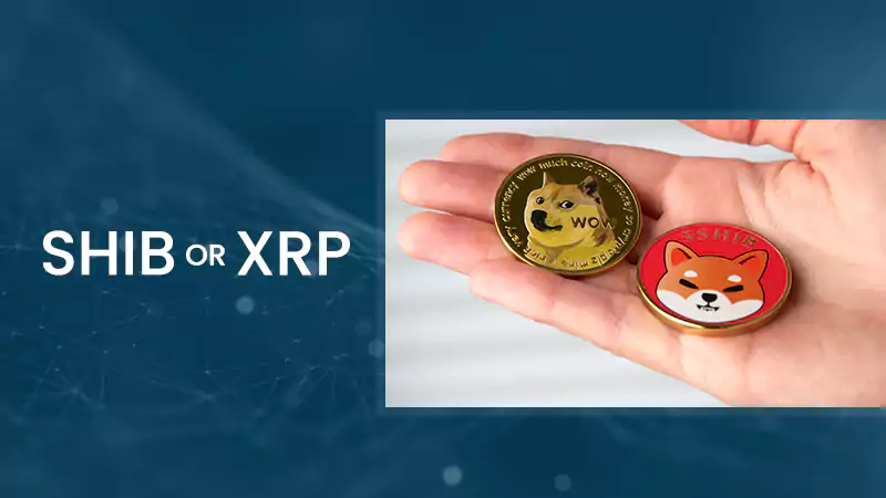 SHIB or XRP — What Crypto is Performing Better?
