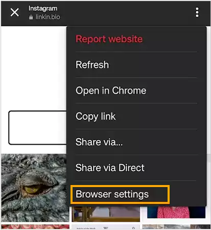 Open Browser settings