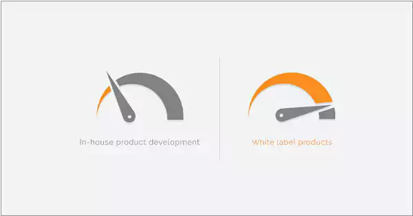 White-Label vs In-house Development