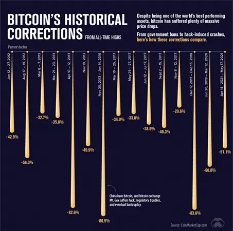 Bitcoins Historical Price Drops 