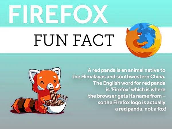 Firefox Fun Fact: A red panda is an animal native to the Himalayas and Southwestern China. The English word for red panda is “Firefox” which is where the browser gets its name from. So the Firefox browser logo is actually a red panda and not a fox.
