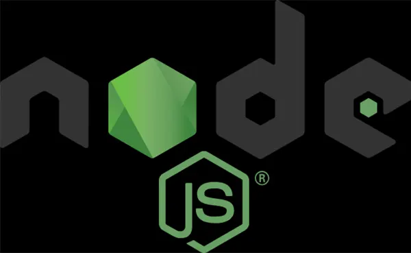 Node.js runtime environment
