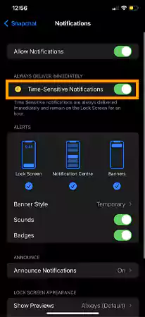 Turn off the toggle to Time Sensitive Notifications