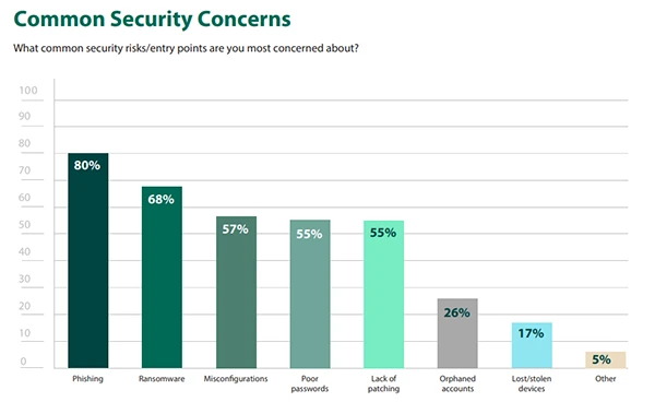 Common Security Concerns