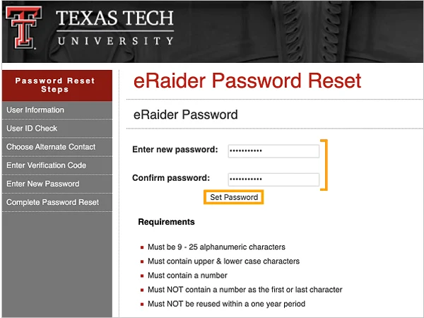 Create New Password then Click Set Password