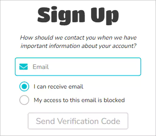Enter email address click on Send Verification Code