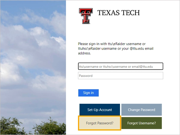 Visit login page then Click on Forgot Password