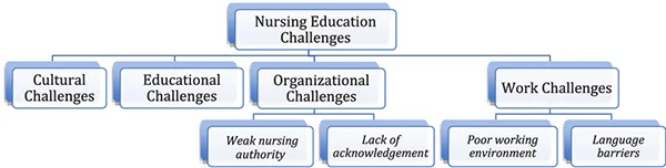 Nursing education challenges image