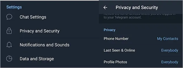 Select Privacy and Security and hit the Phone Number option