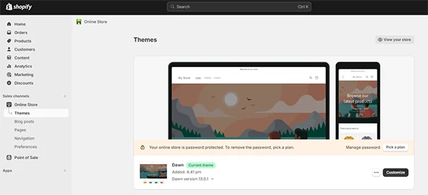 Theme section of Shopify