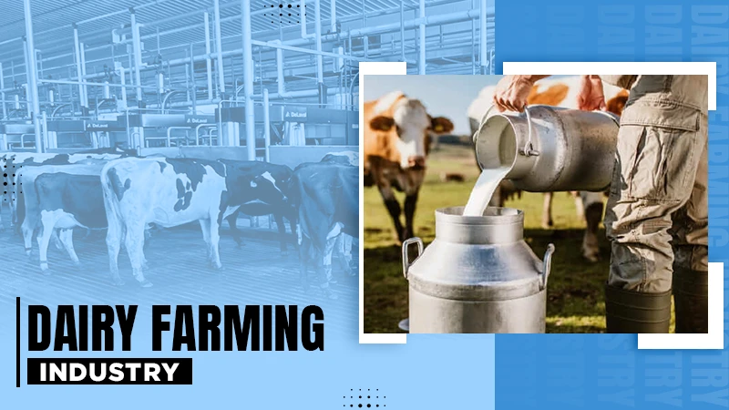 dairy farming industry