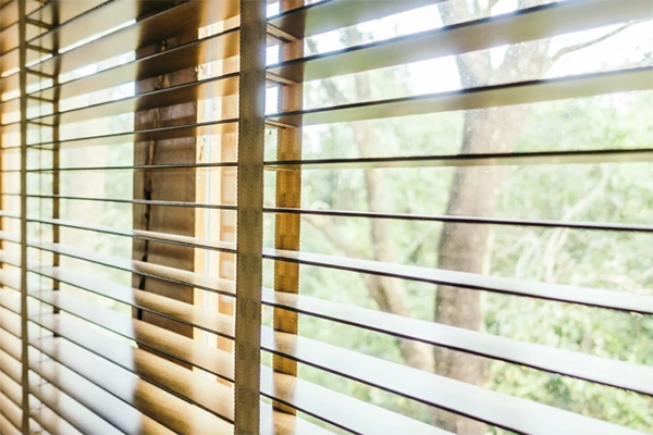 guide-to-window